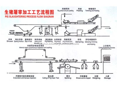 生猪乐鱼LEYU在线（中国）官方网站工艺示意图