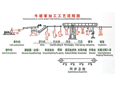 牛羊乐鱼LEYU在线（中国）官方网站工艺示意图